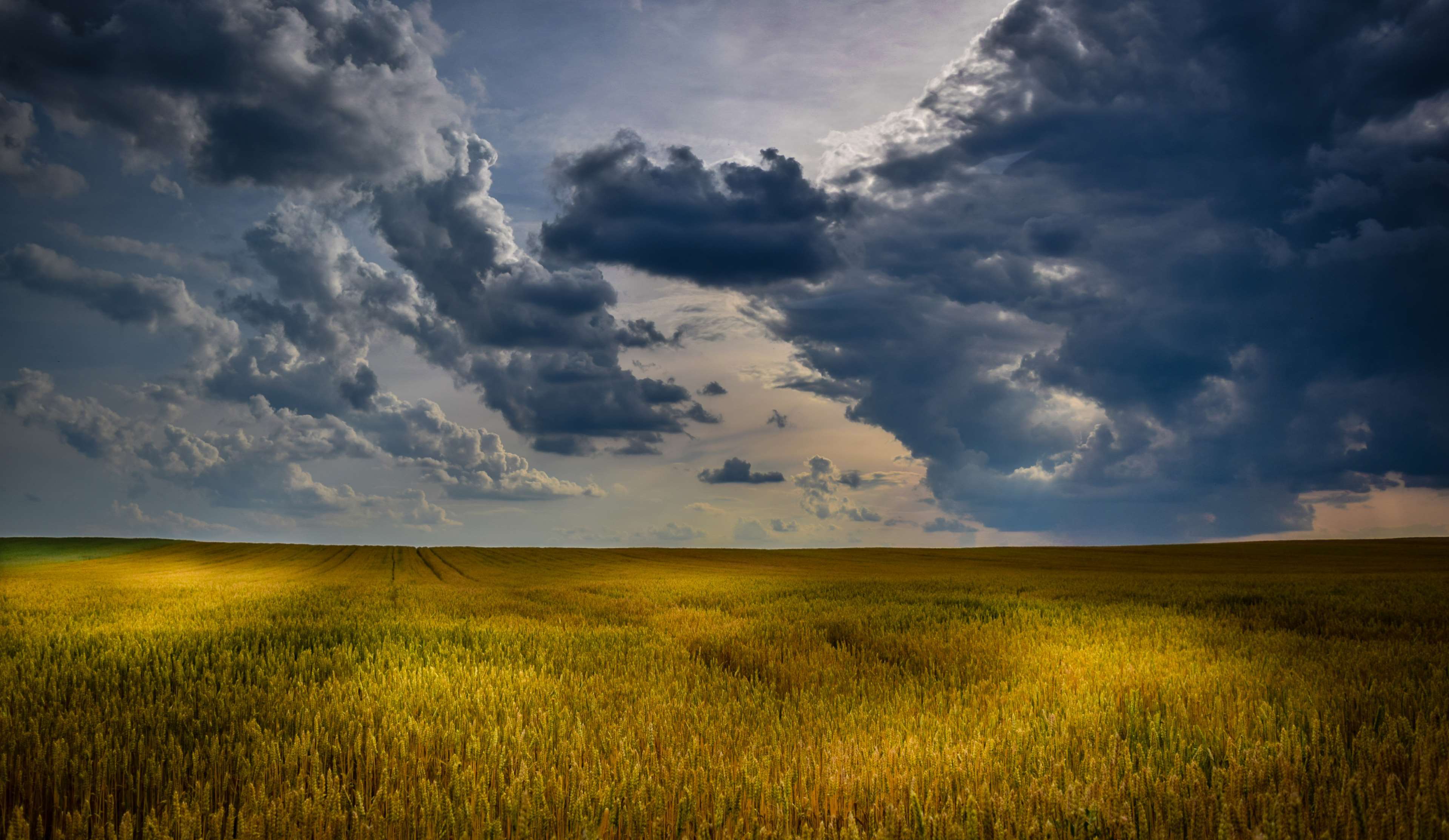 3840x2227-3072793-agriculture_cloudscape_cloudy-skies_countryside_crop_cropland_farm_farming_field_harvest_landscape_light-and-shadow_nature_outdoors_pasture_plains_rural_sky_sunlight_sunset_wheat_yellow