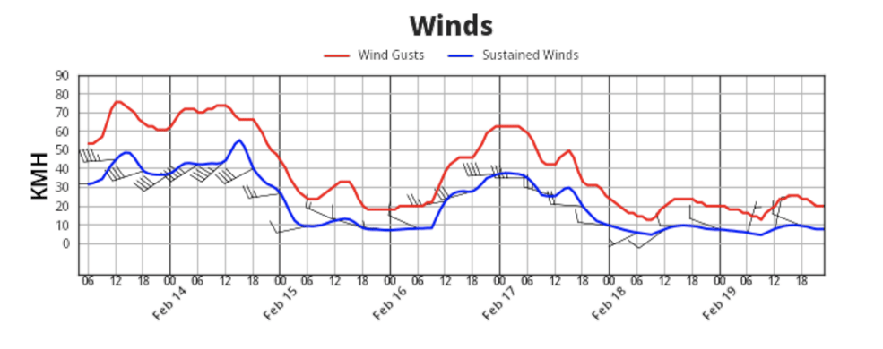 WeatherOps Olympic Wind Forecast Graph