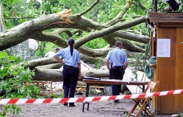 Tree Collapses on Tent Due to Extreme Winds