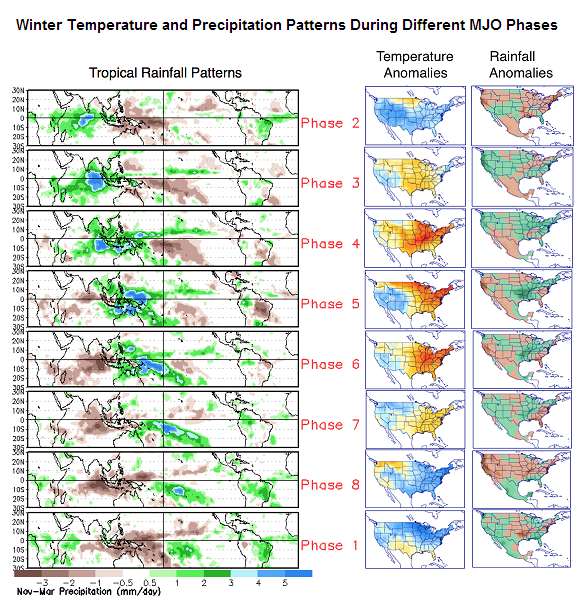 Winter Temperature and Precipitation Patterns During Different MJO Phases