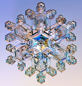 Dendrite Snowflake (credit: http://www.its.caltech.edu/