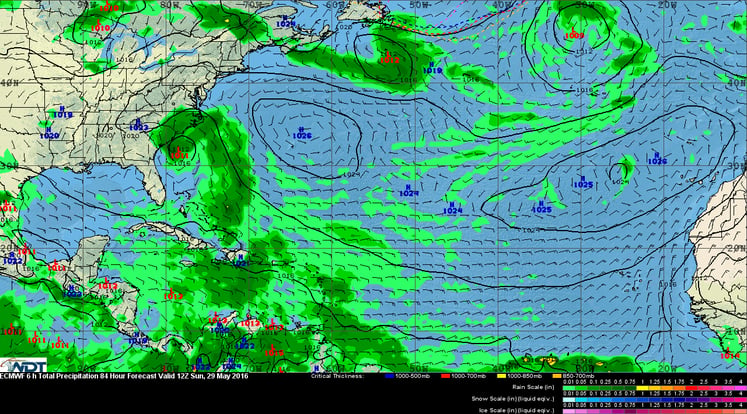 ECMWF model 8am EDT Sunday