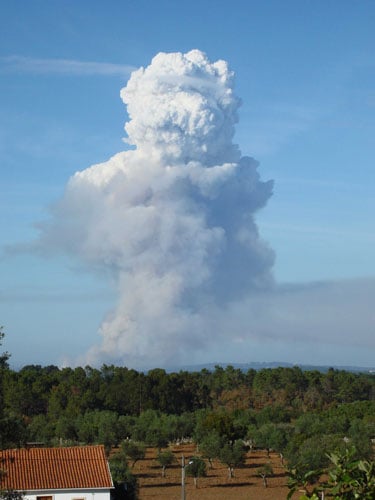 Flammagenitus- Pyrocumulus (credit: Jan Knight)