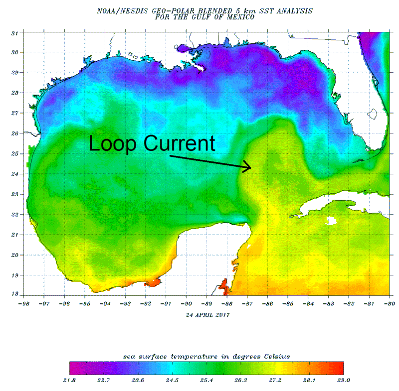 Gulf of Mexico Loop Current (source: http://www.ospo.noaa.gov/data/sst/contour/gulfmex.cf.gif)