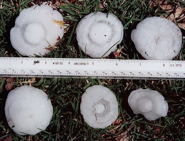 Measure Hail with Ruler