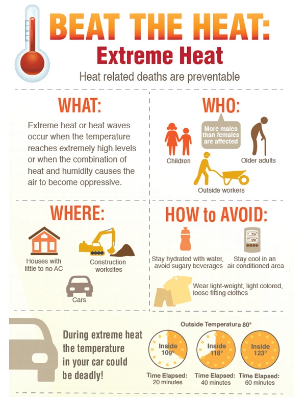 Heat Safety Infographic