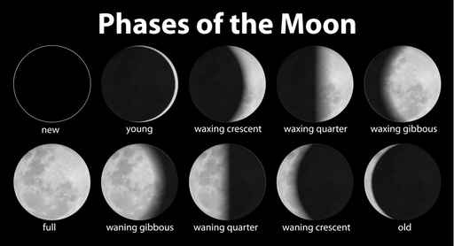 Phases of the Moon