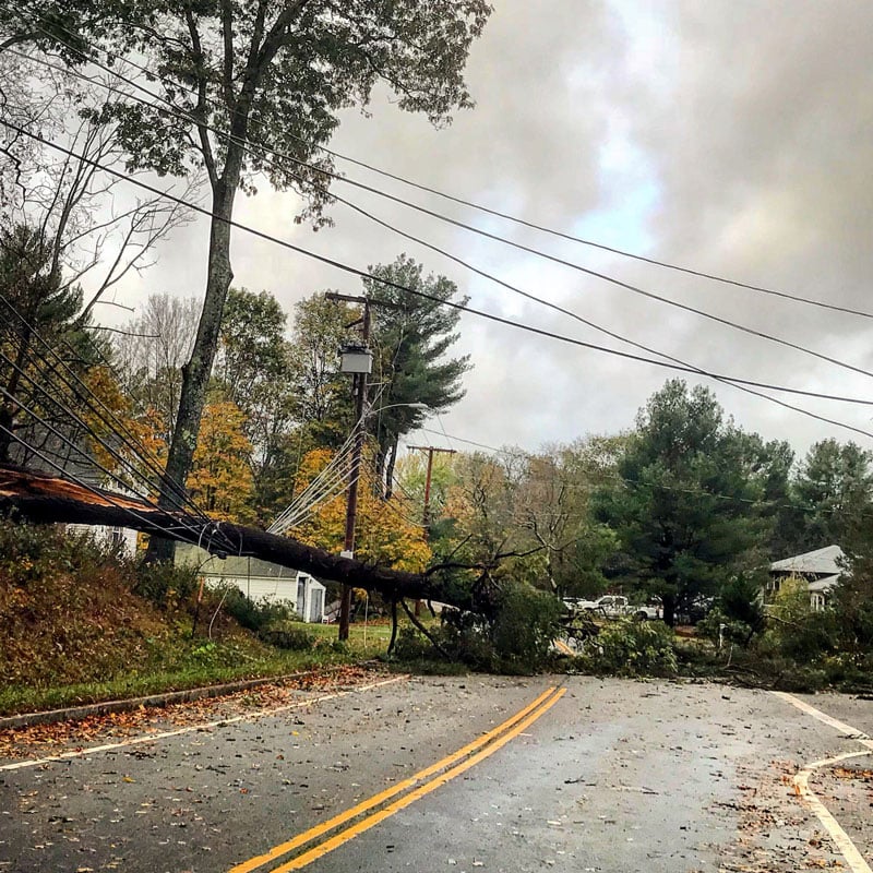 Trees Taking Down Power Lines Due to Wind - October 30, 2017