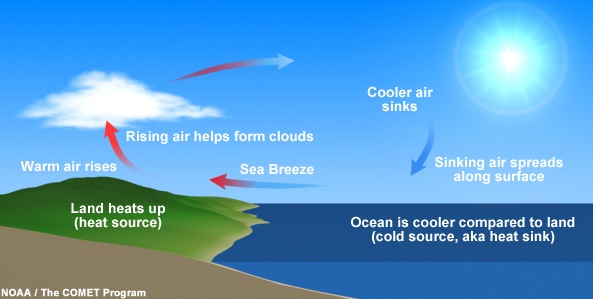 How Do Sea Breezes Work