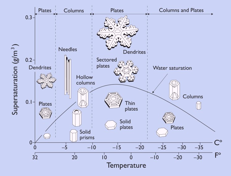 The Shapes of Snowflakes (Credit: Kenneth Libbrecht)