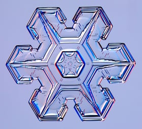 Plate Snowflake (credit: http://www.its.caltech.edu/)