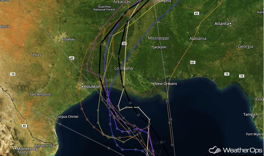 Forecast Model Tracks for TS Cindy, June 20, 2017