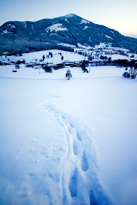 Picture of Blue Snow