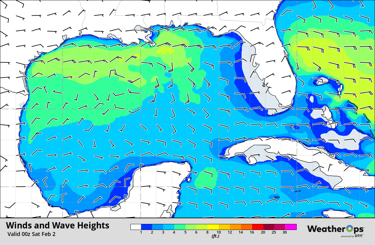 Wind and Wave Heights 6pm CST Friday, February 1, 2019