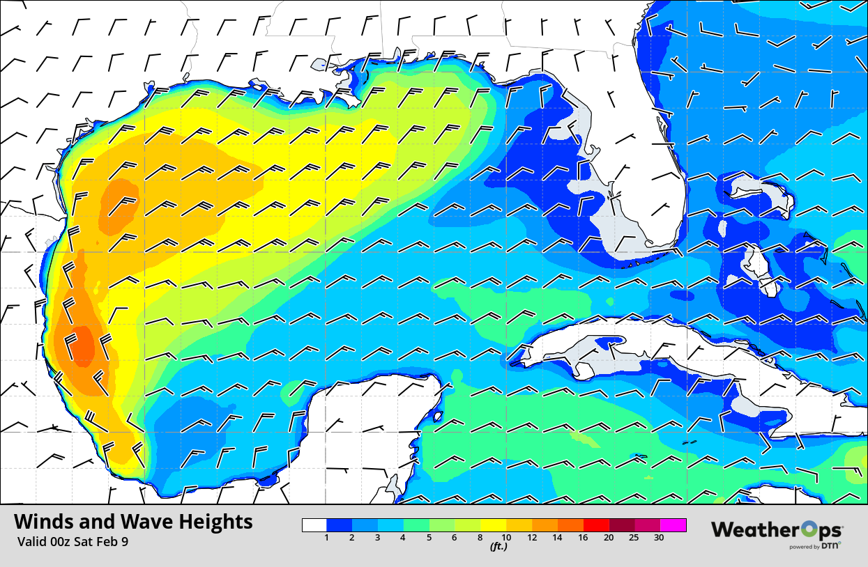 Wind and Wave Heights 6pm CST Friday, February 8, 2019
