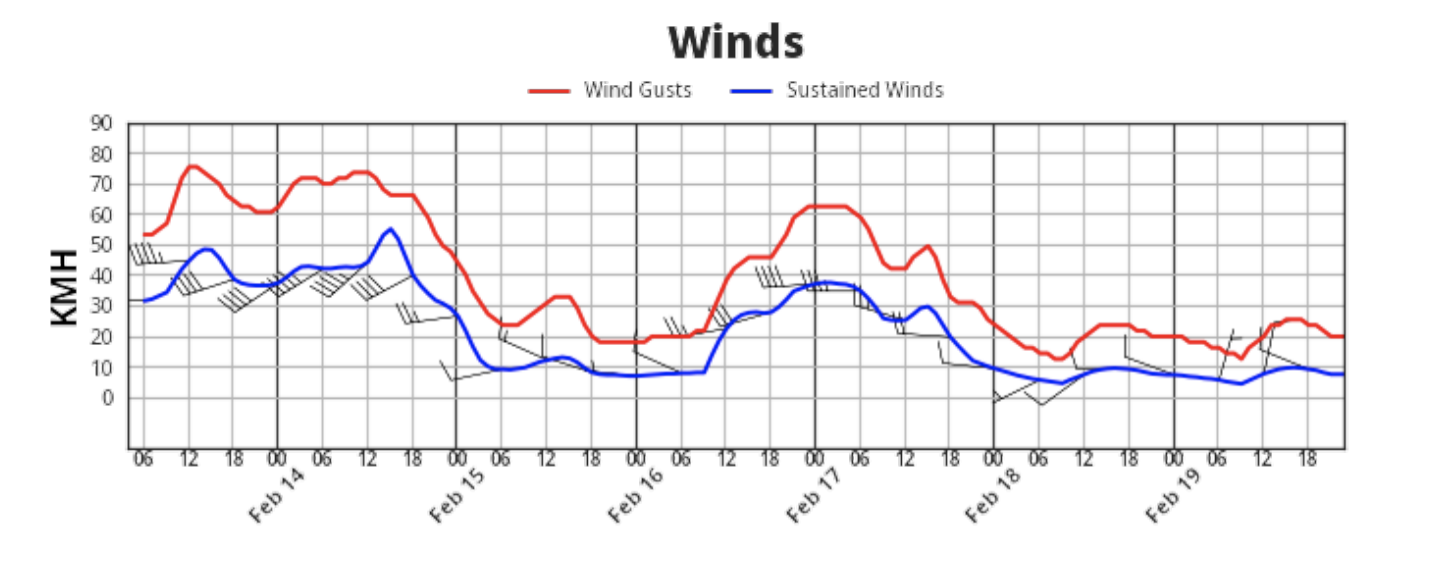 Strong Winds Threaten Safety and Performance in the Winter Olympics